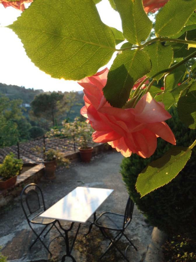 Fiesole In Giardino B&B Kültér fotó